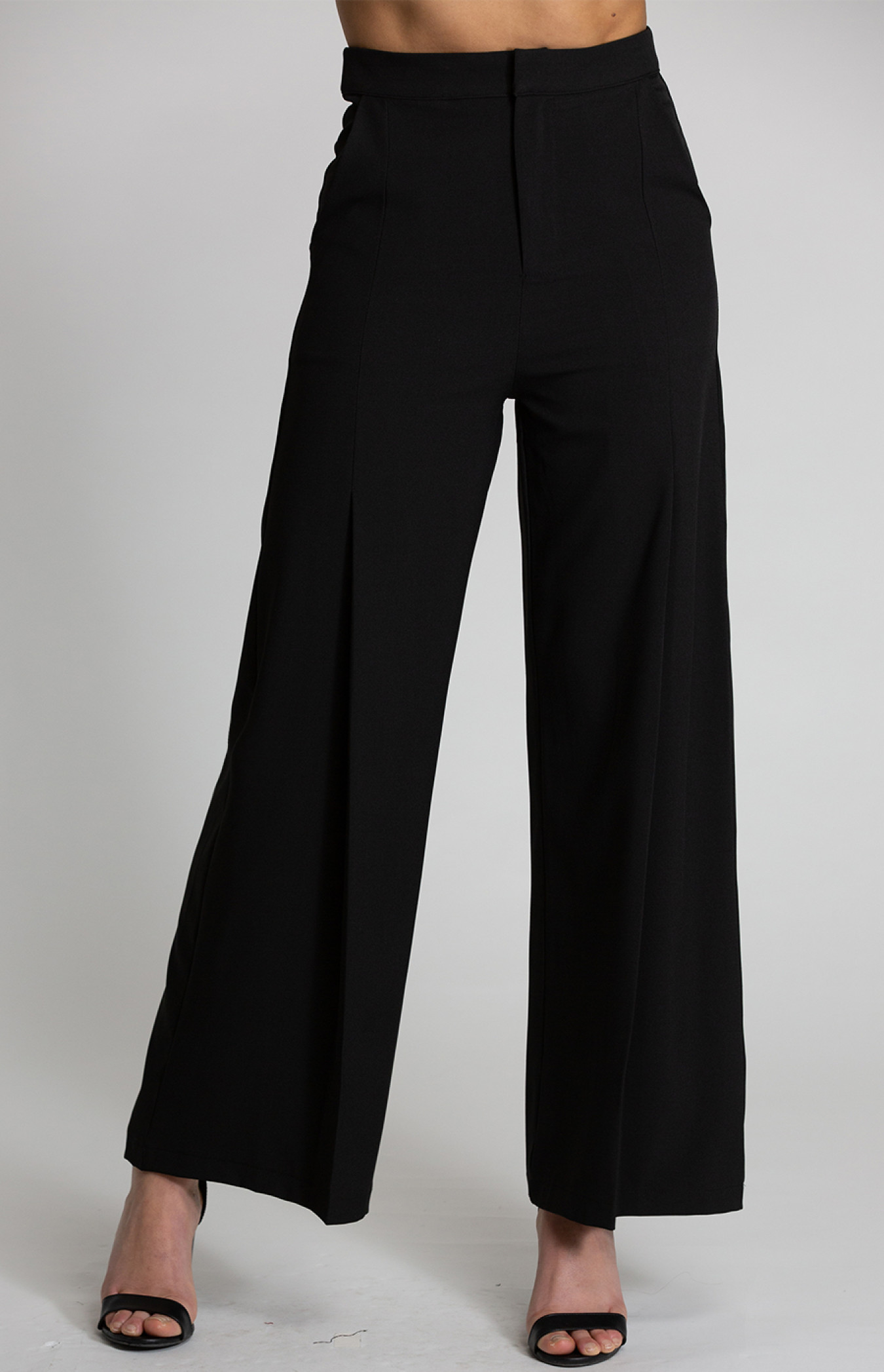 High Waisted Pants with Leg Pleat Detail (APA832B) | Style State